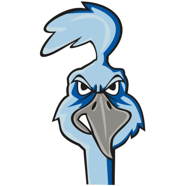 ROADRUNNER HD0502 RQC Thumbnail