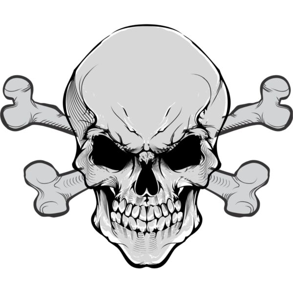 Skull Crossbones 1 Thumbnail