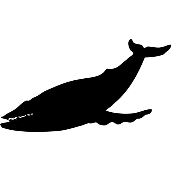 Whale Silhouette 1 Thumbnail