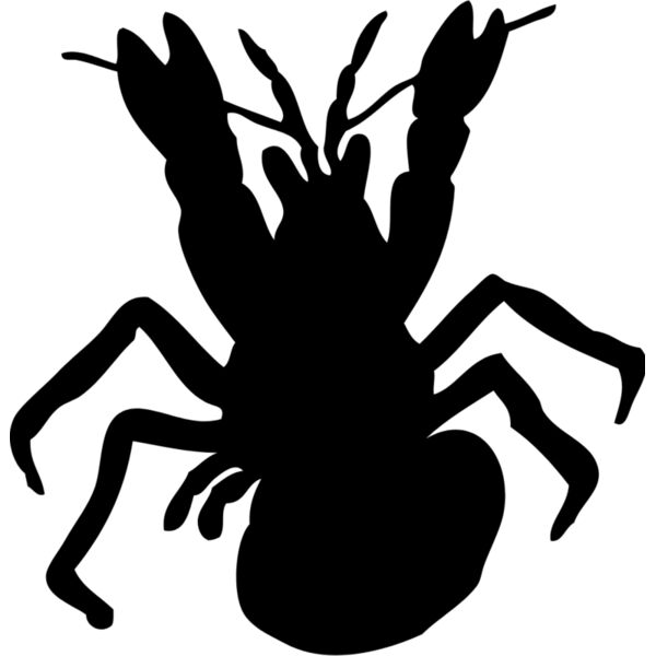 Hermit Crab Silhouette 3 Thumbnail