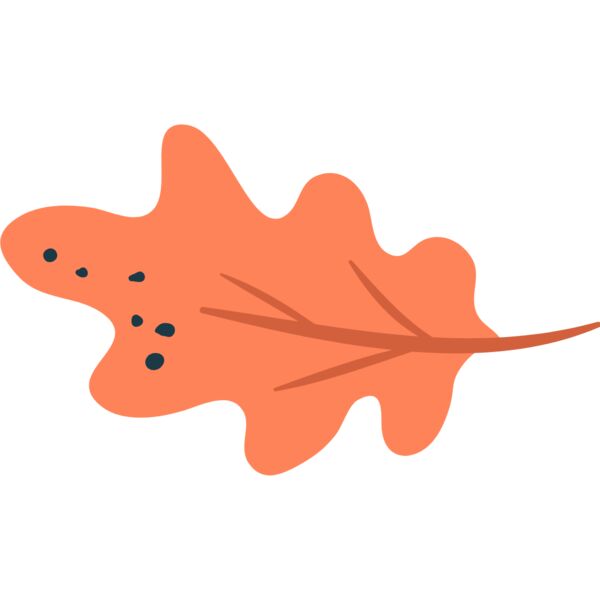 Autumn Fall Leaf 23 Thumbnail