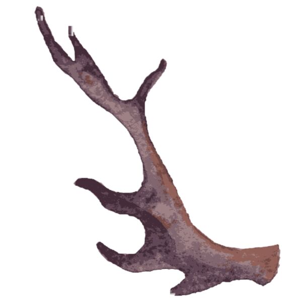 Watercolor Branch Antler 3 Thumbnail